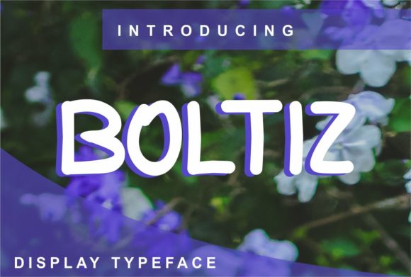 Boltiz: A Simple Font to Elevate Your Branding